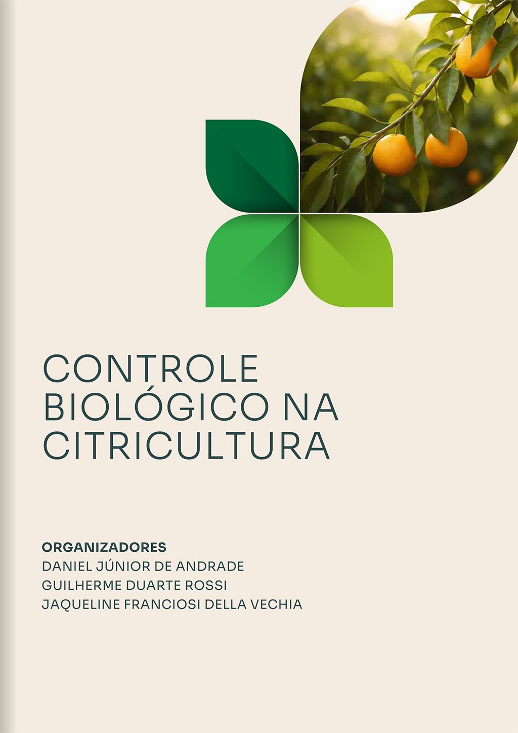 Capa do E-book